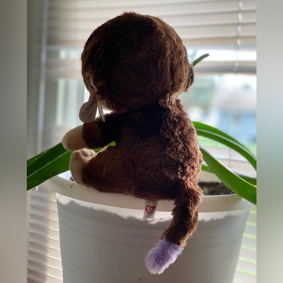 Ty Collectable Monkey “Coconut” - Picture 2 of 5